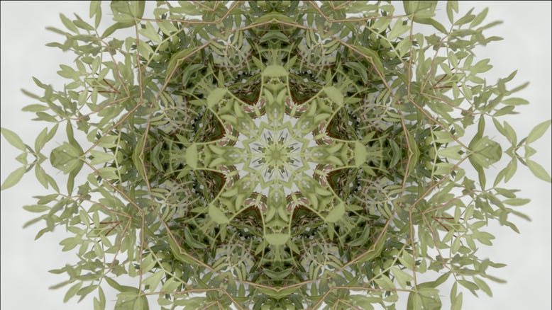 010